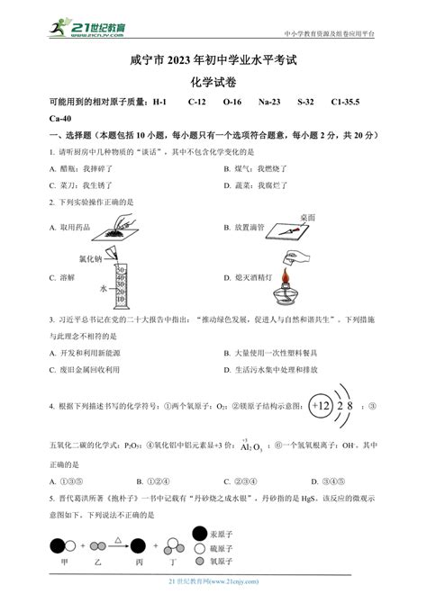 2023年湖北省咸宁市中考化学真题word原卷版解析版 21世纪教育网