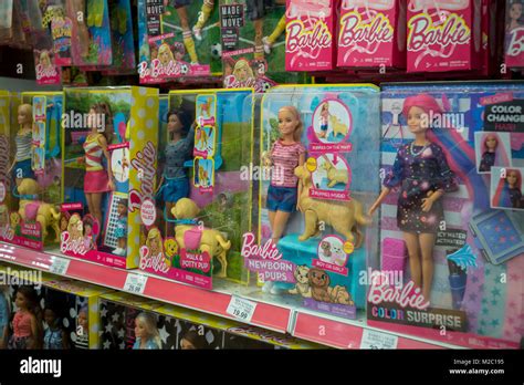 Toys R Us Boy Barbie Dolls - ToyWalls