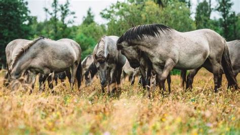 Pape Nature Park Latviatravel