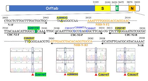 Figure 1 From Cycle Threshold Ct Values Of SARS CoV 2 Detected With