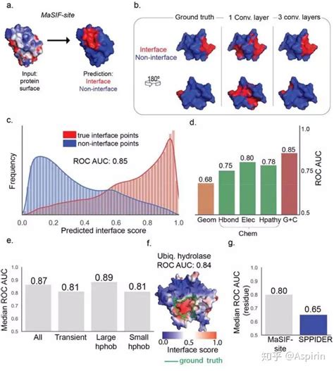 Nat Methods 基于几何深度学习解密蛋白分子表面的相互作用指纹 知乎