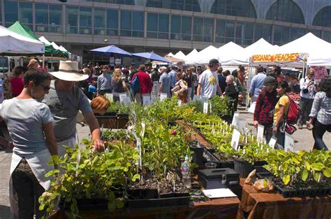 10 Crucial Tips For Shopping At Farmers Markets