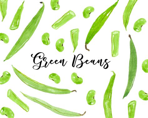 Grüne Bohnen Aquarell Handgemalt Digitale Clipart Gemüse Etsy