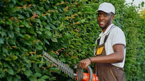 The Best Way To Tame Your Overgrown Shrubs