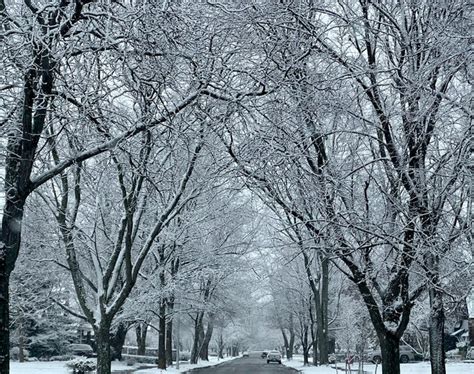 Michigan winter storm expected to bring 6-8 inches of snow