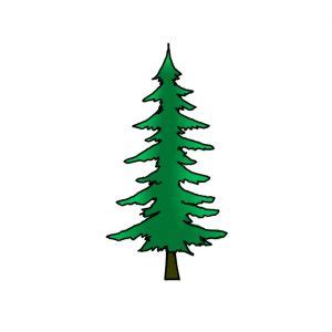 How to Draw a Pine Tree - Step by Step Easy Drawing Guides - Drawing Howtos