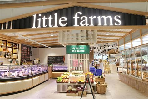 Little Farms Market And Café All Day Instagrammable Dining Cafe At