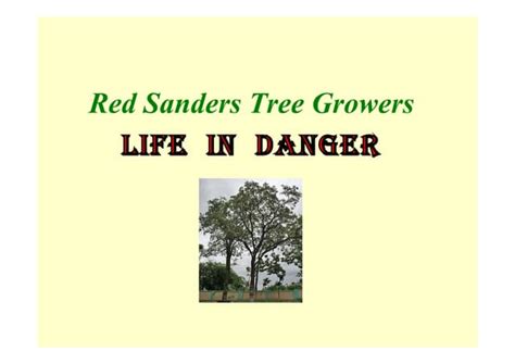 Red sanders tree growers hurdles 21 03 2016 | PPT