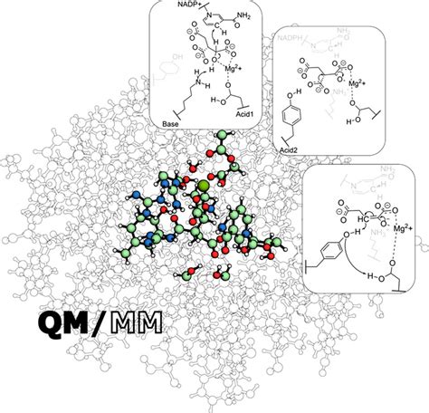 Application Of Quantum Mechanics Molecular Mechanics Methods In The