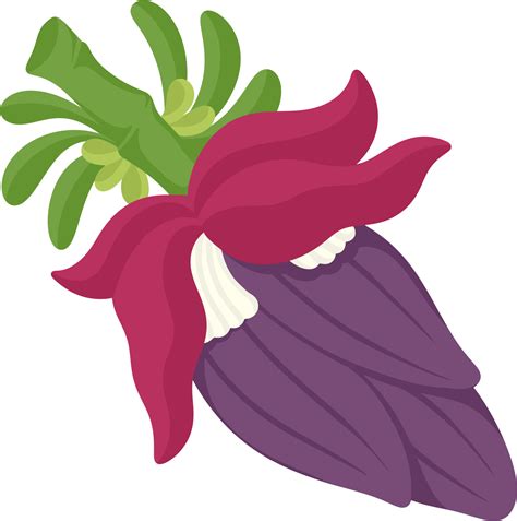 banana tree blossom 5