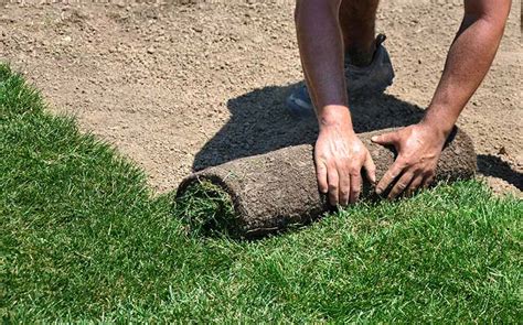 Sod Installation Tuff Turf Growers