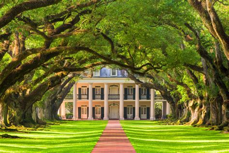 Circuit Etats Unis Voyage Organisé La Louisiane Ses Bayoux Et Ses