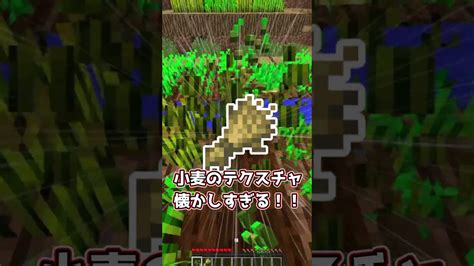 【霊夢vs魔理沙】バージョンがランダムに変わる世界でのプレイの違い【ゆっくり実況ゆっくり茶番】【マインクラフトマイクラ】shorts