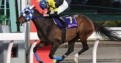 大井競馬【🔥👊🏇激熱勝負🏇👊🔥】423（火）【10r】 C2（発走時刻 1930）｜さやだま