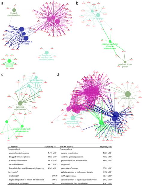 Functional Enrichment Analysis Of DEGs From DA A Down And B