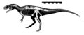 Category:Gasosaurus fossils - Wikimedia Commons