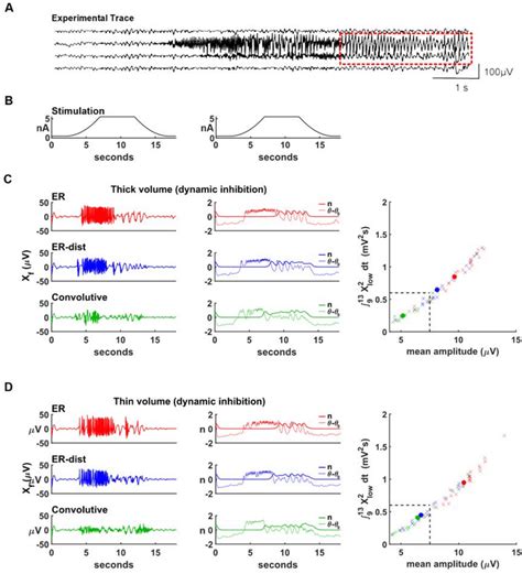 Dynamic Inhibition Can Underlie Spike Wave Complexes A Experimental