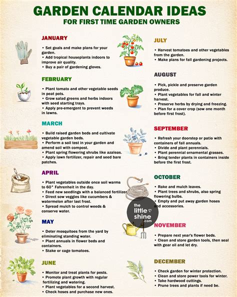 Everything Gardening | GARDEN CALENDAR IDEAS FOR FIRST TIME GARDEN OWNERS