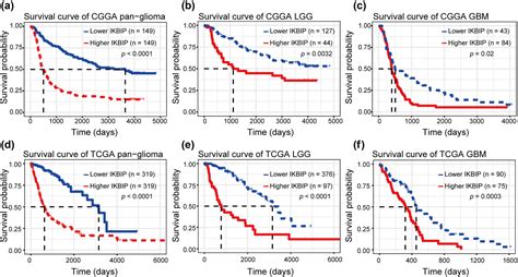 Ikbip Is A Novel Emt Related Biomarker And Predicts Poor Survival In Glioma