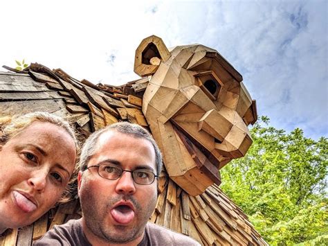 Hunting For Forest Giants In A Giant Forest At Bernheim Forest