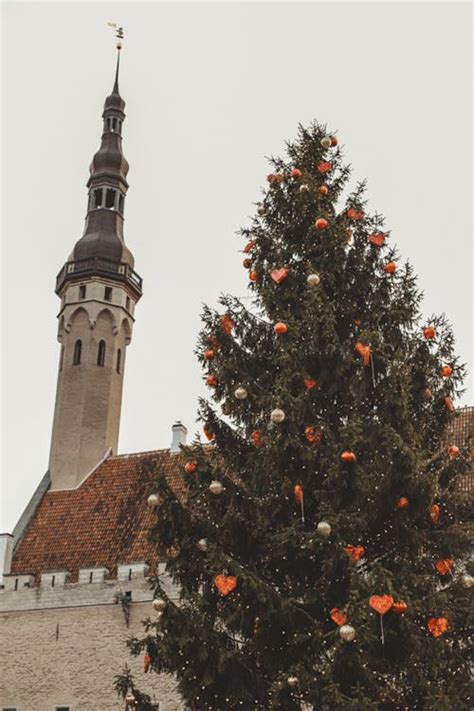 Christmas Tree In A Church Photos, Download The BEST Free Christmas ...