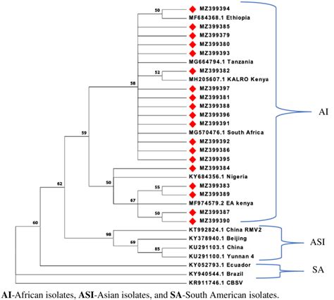 Phylogenetic Tree Of Partial Nucleotide Sequence Of P And P Proteins