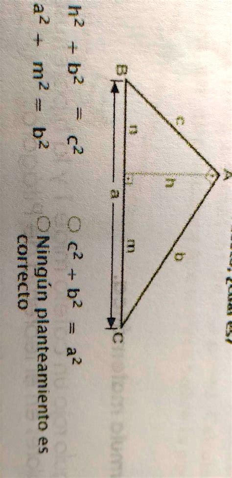 Solved Aplicar El Teorema De Pitágoras En Algún En Algún De Los