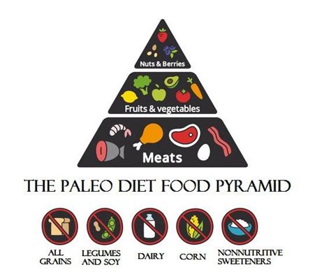 Paleo Diät mit Ernährungsplan riesige Auswahl an Diät Plänen