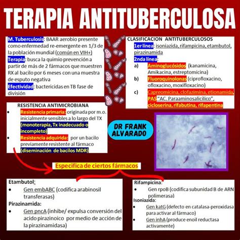 Tratamiento Tuberculosis Mois S Francisco Alvarado Garc A Udocz