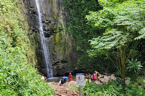 Guide to Manoa Falls: Oahu's Jungle Waterfall Hike