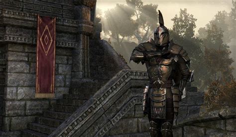 The Imperial Commander Is The Next Build Tamriel Elder Scrolls Amino