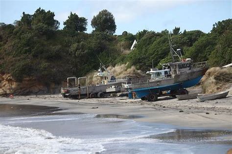 Chatham Islands New Zealand | Chatham islands, New zealand, Places to visit