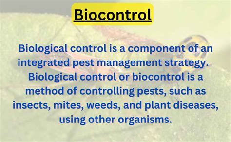 Biocontrol Agents Strategies And Disadvantages