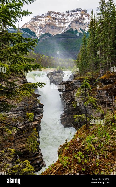 waterfall athabasca falls  res stock photography  images alamy