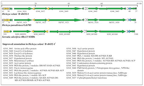 Diversity Free Full Text Genome Sequence Of Dickeya Solani A New Soft Rot Pathogen Of