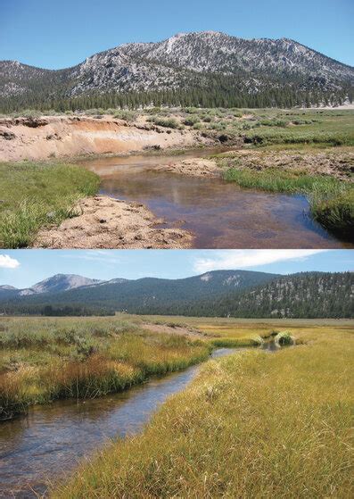 Grazed Mulkey Creek Above Mul6 And Ungrazed South Fork Kern River