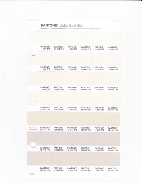 PANTONE 11 0604 TPG Gardenia Replacement Page Fashion Home