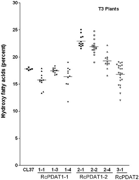 Hydroxy Fatty Acid Content Of Seeds From Arabidopsis Lines