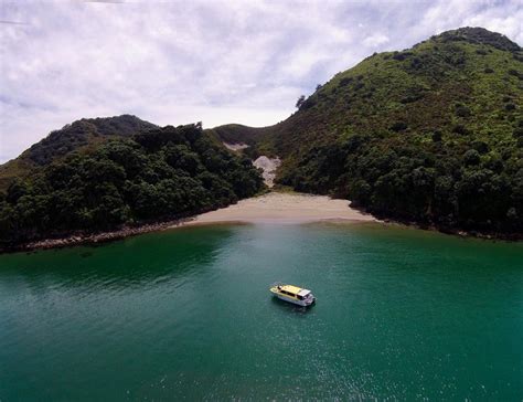 WHALE ISLAND TOURS WHAKATANE