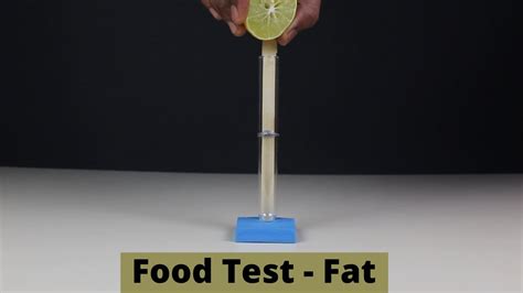 Food Test Fat Thinktac Diy Science Youtube