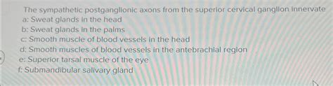 Solved The sympathetic postganglionic axons from the | Chegg.com