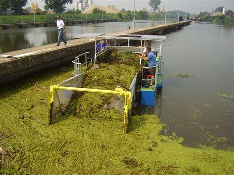 Od početka godine uklonjeno preko 5 miliona m² podvodne vegetacije