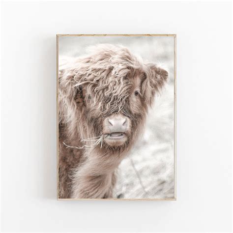 Highland Cow Print Scottish Highland Cow Farmhouse Decor Printable