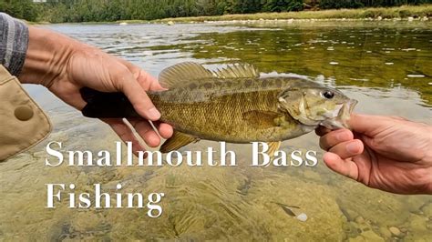 Fishing For Big Smallmouth Bass YouTube