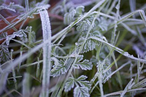 Weather - oregonlive.com