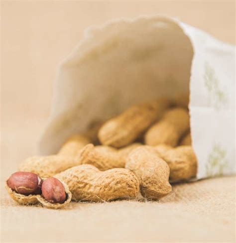 Breakthrough Treatment For Peanut Allergy Awaits Fda Check