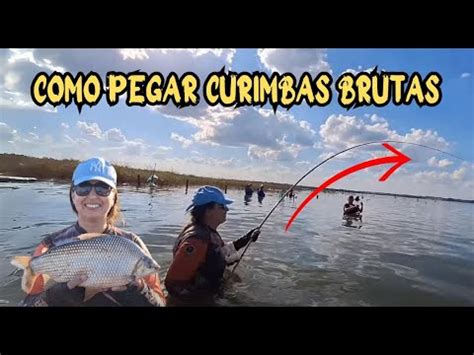 Você precisa fazer isso na sua pescaria de Curimba Pescaria no Rio