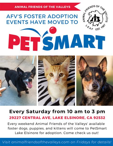 OUR WEEKLY FOSTER ADOPTION EVENTS HAVE MOVED TO PETSMART! - Animal ...