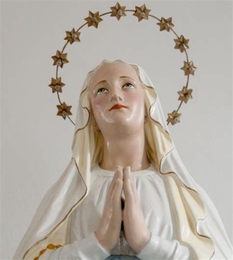 Honoring the Immaculate Conception of Mary - Oblates of the Virgin Mary