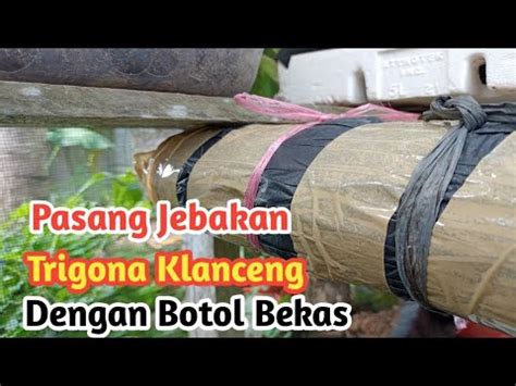 Memasang Perangkap Kelulut Dengan Botol Bekas Air Mineral YouTube